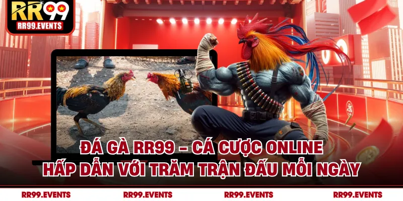 Đá Gà RR99 - Cá Cược Online Hấp Dẫn Với Trăm Trận Đấu Mỗi Ngày