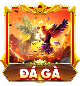Đá gà RR99