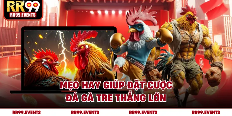 Mẹo hay giúp đặt cược đá gà tre thắng lớn